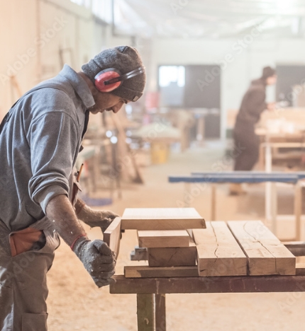 expert_abris_bois_image2